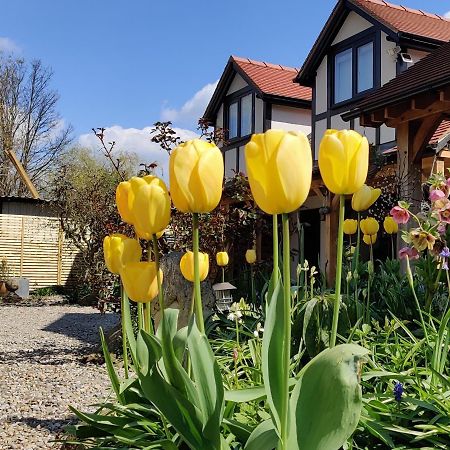 Delightful & Picturesque Modern Detached Apartment, Next To Chester Zoo, Near Park And Ride To City Centre מראה חיצוני תמונה